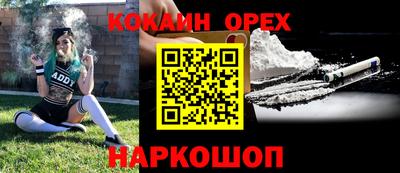 гашик Донской