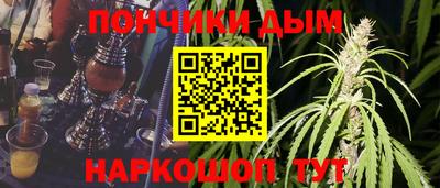 гашик Донской