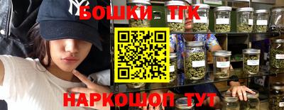 гашик Донской