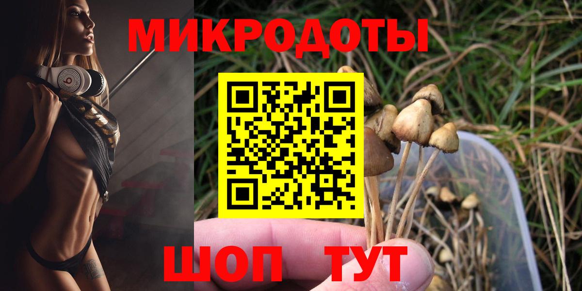 хочу наркоту  Вход с VPN  Назарово  Псилоцибиновые грибы Psilocybine cubensis  Псилоцибиновые грибы мухоморы 